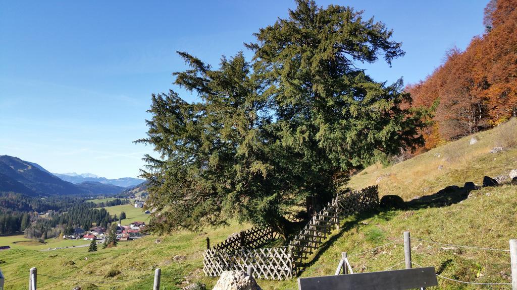 Gästehaus Bergfrieden Bolsterlang Exterior foto